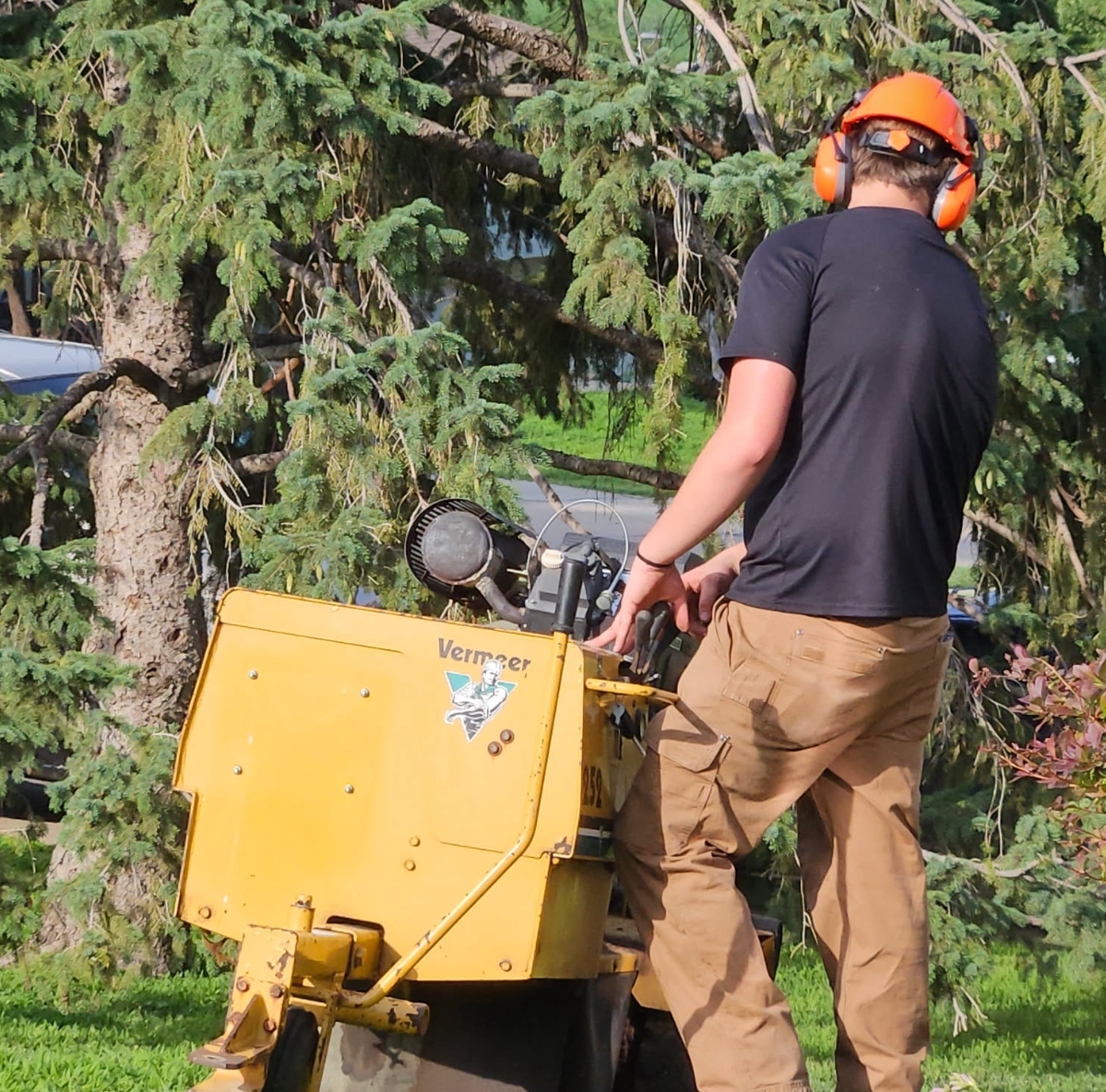 Professional stump grinding operator at work — Root Rippers LLC, Plattsmouth, NE