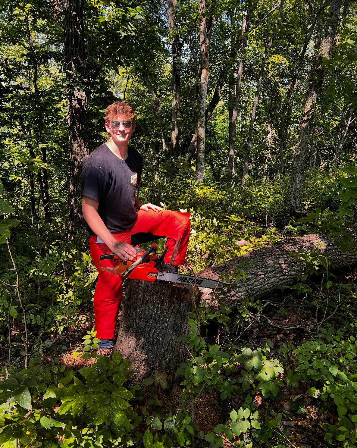 Marshall Vaughn providing professional tree cutting service